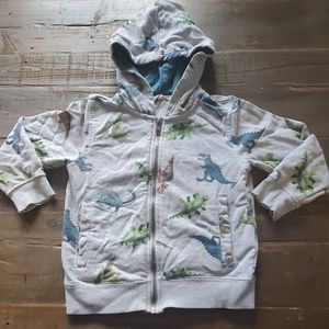 Boy's Dinosaur Hoodie
